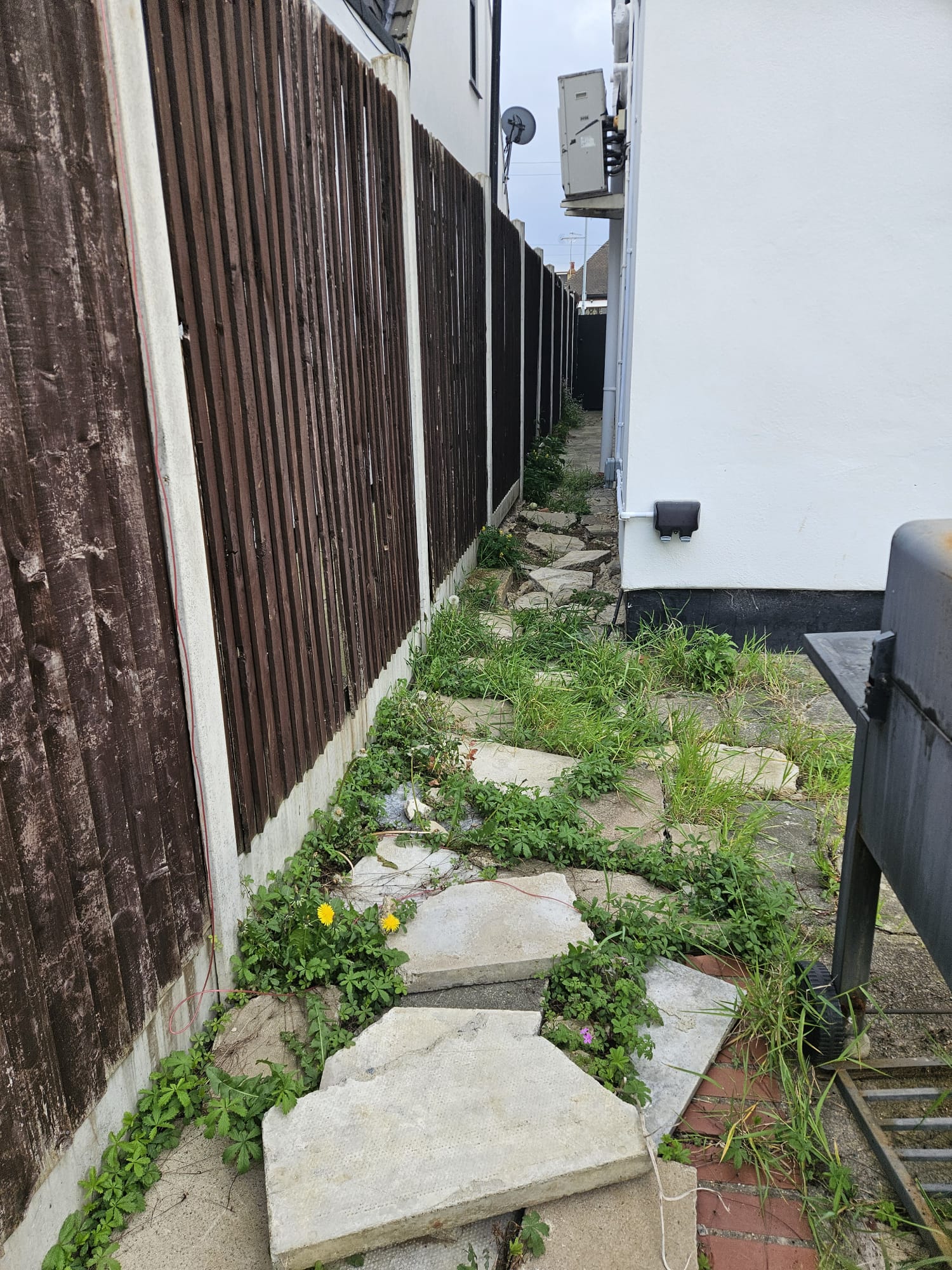 Before