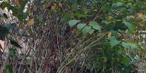 Untitled project (19)